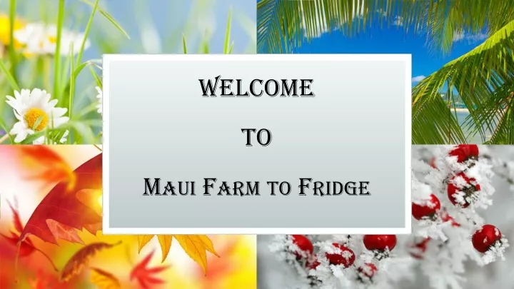 welcome to maui farm to fridge