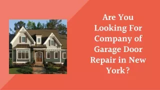 Which is the cheapest company of Garage Door Repair in New York?