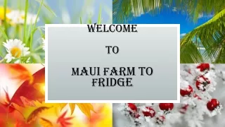 welcome