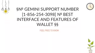 gemini support number 1 856 254 3098 best interface and features of wallet
