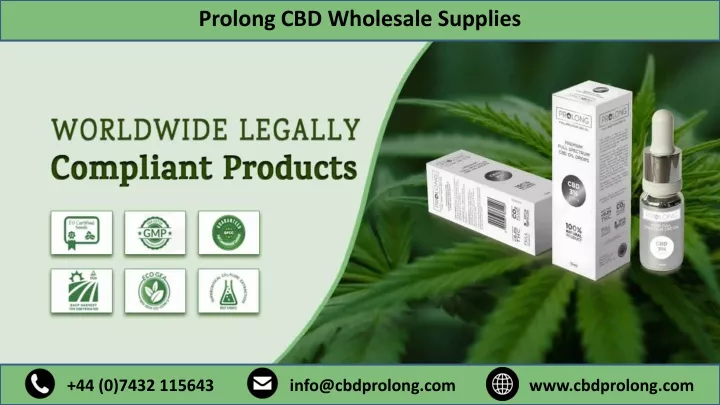 prolong cbd wholesale supplies