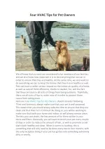 Four HVAC Tips for Pet Owners - slide 1