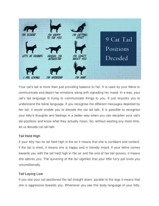 your cat s tail is more than just providing