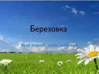 Березовка