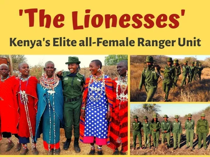the lionesses kenya s elite all female ranger unit