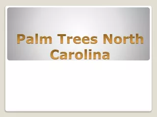 Best Palm Trees North Carolina