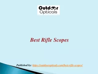 best rifle scopes published by https