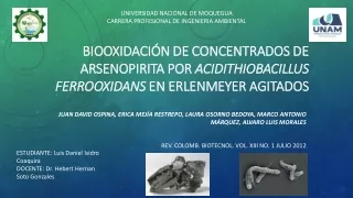 Biooxidación de concentrados de arsenopirita por Acidithiobacillus ferrooxidans en erlenmeyer agitados