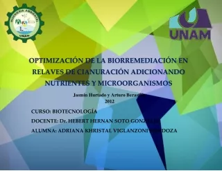 OPTIMIZACIÓN DE LA BIORREMEDIACIÓN EN RELAVES DE CIANURACIÓN ADICIONANDO NUTRIENTES Y MICROORGANISMOS