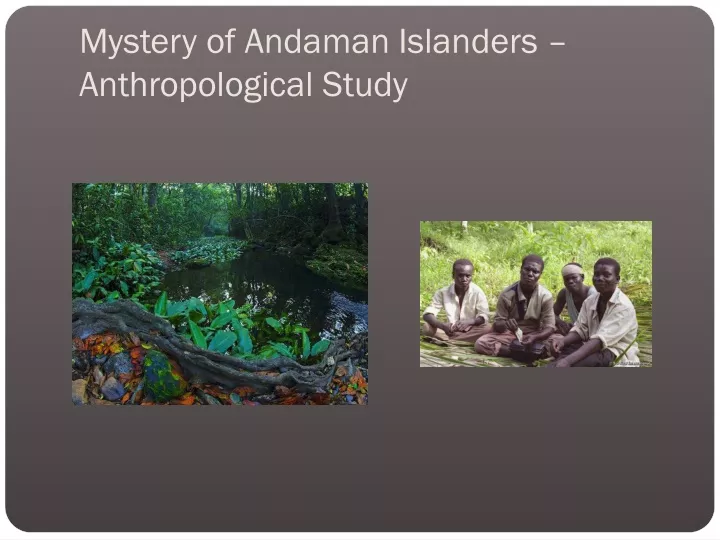 mystery of andaman islanders anthropological study