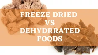 Freeze Dried vs Dehydrated Foods