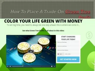 Green Tree Profit  Review – Is It A Scam or Not? Find Out Here