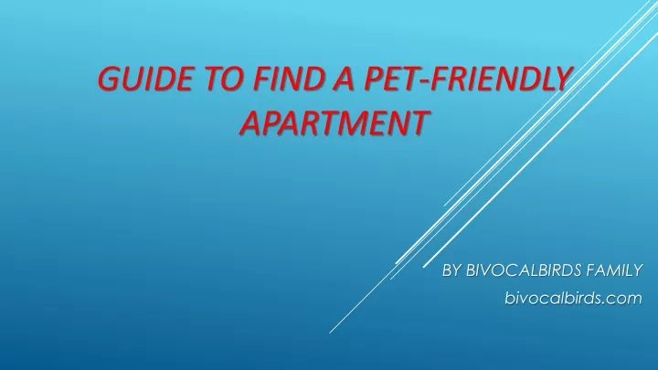 guide to find a pet friendly apartment
