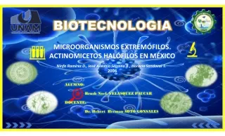 Microorganismos extremófilos Actinomicetos halófilos en México