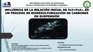INFLUENCIA DE LA RELACIÓN INICIAL DE Fe3 /Fe2 , EN UN PROCESO DE BIODESULFURIZACIÓN DE CARBONES EN SUSPENSIÓN
