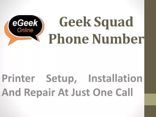 geek squad phone number