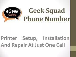 geek squad phone number