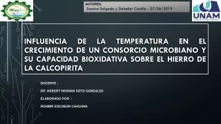 BIOMINERIA