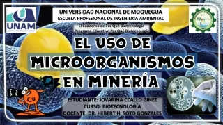 El uso de los microorganismo en la mineria