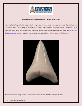 here s what you should know about buying shark