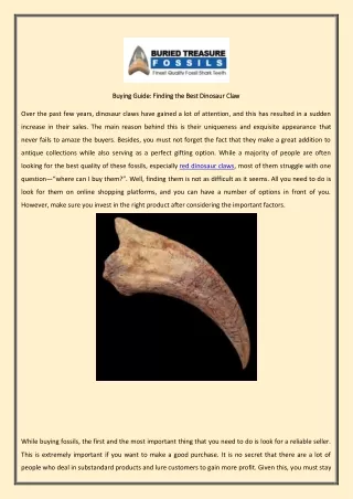 buying guide finding the best dinosaur claw