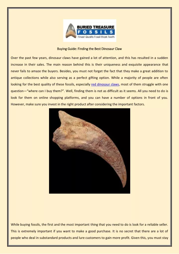 buying guide finding the best dinosaur claw