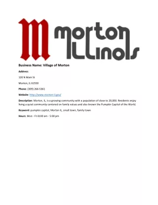 business name village of morton
