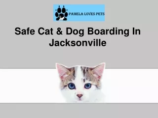 Safe Cat & Dog Boarding In Jacksonville