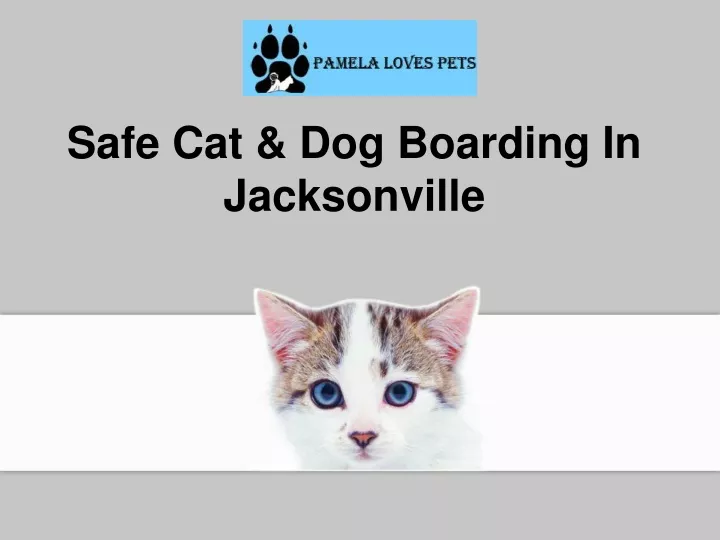 safe cat dog boarding in jacksonville