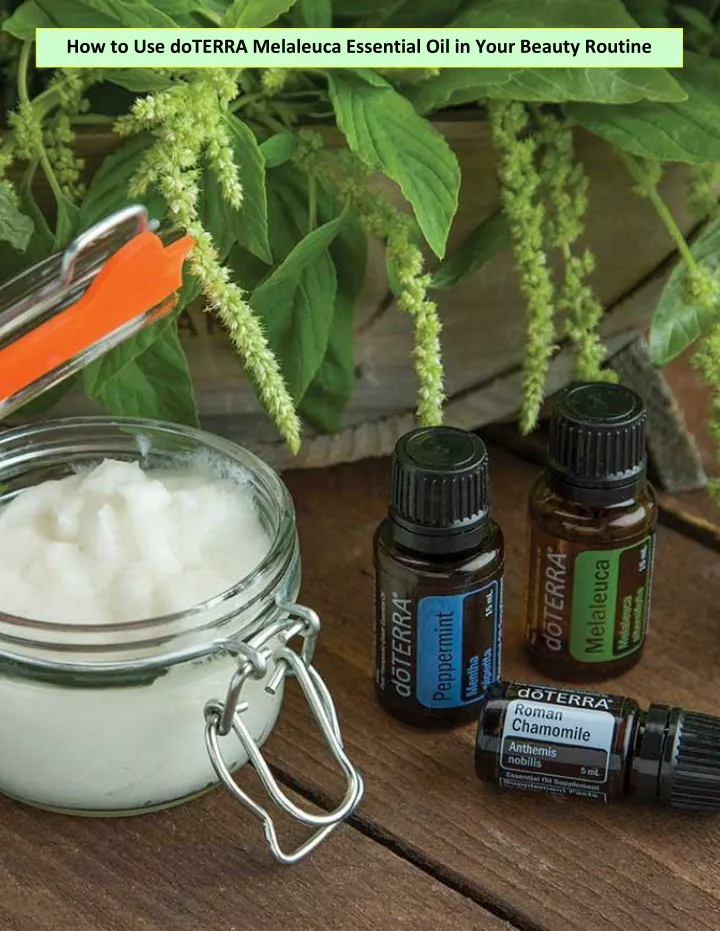 how to use doterra melaleuca essential