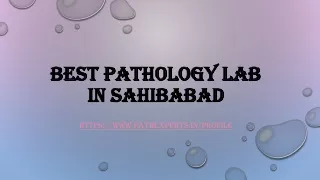 best pathology lab in sahibabad