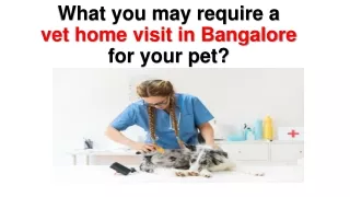 What you may require a vet home visit in Bangalore for your pet?