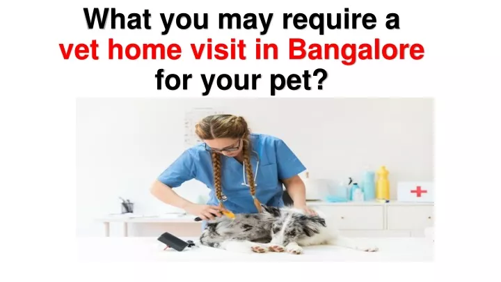 what you may require a vet home visit in bangalore for your pet