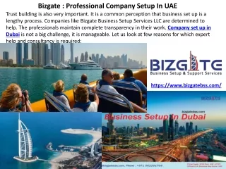 bizgate professional company setup in uae