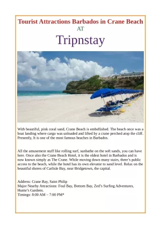 Tourist Attractions Barbados in Crane Beach at Tripnstay