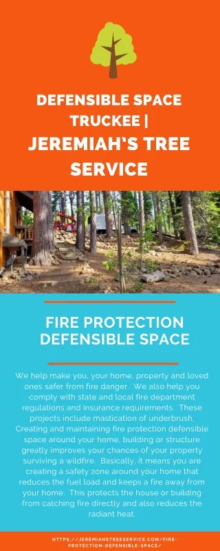 Defensible space truckee | Jeremiah’s Tree Service