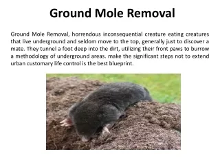 ground mole removal