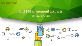 SEM Management Experts - www.seoppcpros.com