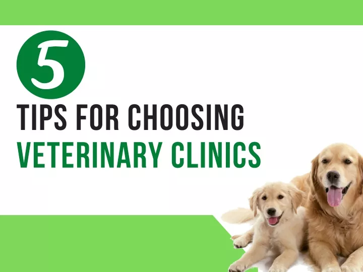 tips for choosing veterinary clinics