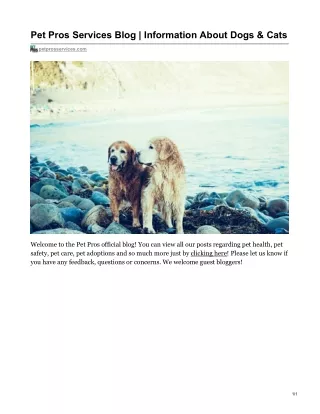 pet pros services blog information about dogs cats