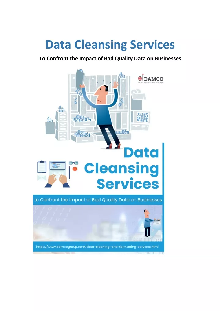 data cleansing services