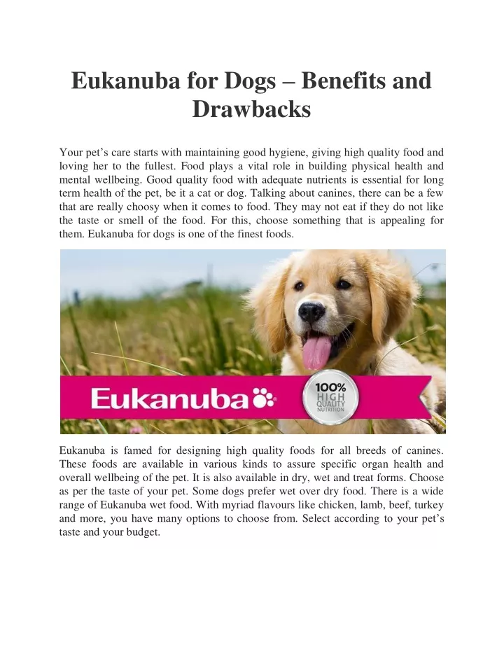 eukanuba for dogs benefits and drawbacks
