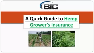 A Quick Guide to Hemp Growers Insurance