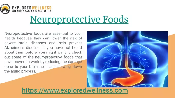 neuroprotective foods