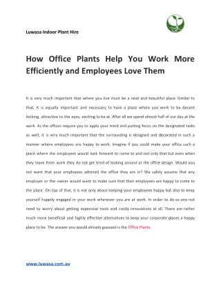 How Office Plants Help You Work More Efficiently and Employees Love Them