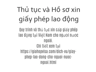 Giay phep lao dong Viet Nam