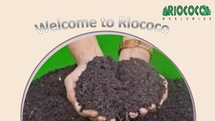 welcome to riococo