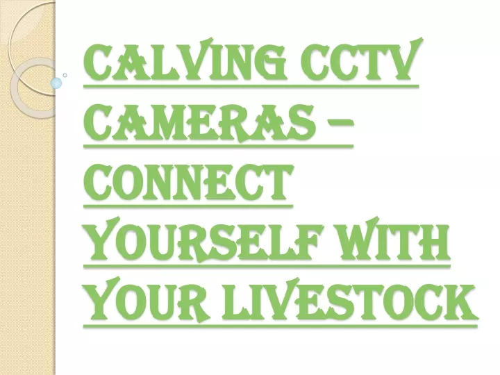 calving cctv cameras connect yourself with your livestock