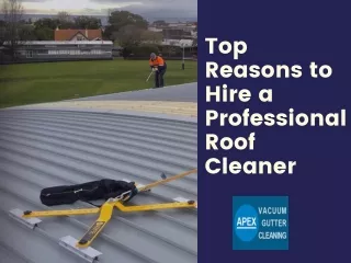 Top reasons to hire a professional roof cleaner