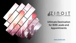 Zinoit - Ultimate Destination for B2B Leads and Appointments